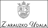 zarauzko udala